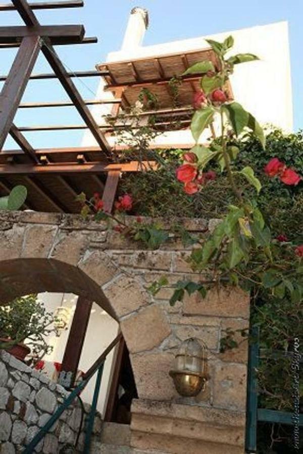 Traditional Studio Skyros Extérieur photo
